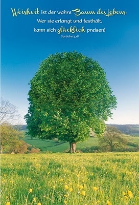 Geburtstag Sprüche Baum schöne geburtstagssprüche