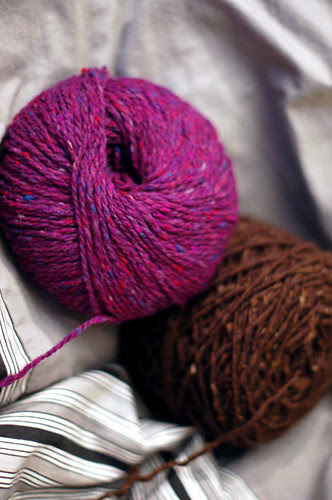 Yorky Tweeds