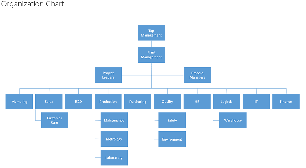 Organization Organizational Chart With Responsibilities Template PDF 