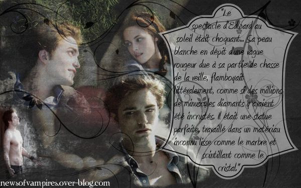 95 Citation Livre Twilight