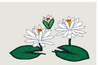 Unduh 9800 Gambar Animasi  Bergerak Bunga  Teratai  Paling 