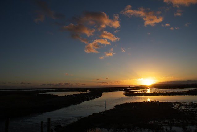 DSC_5467 Sunset at Rye Harbour Nature Reserve