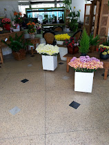 A Gardênia Flores