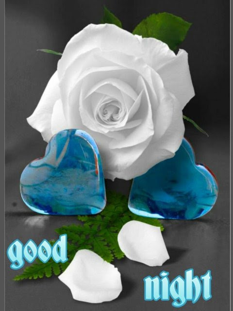 Good Night Blue Rose Photo - Asktiming