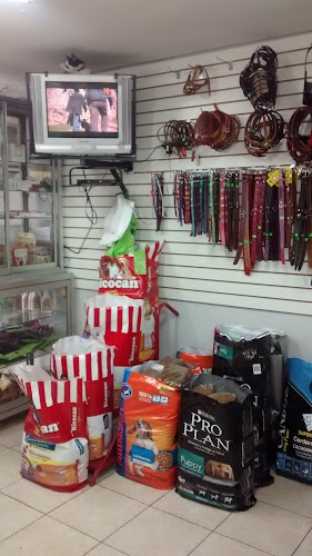 Opiniones de Veterinaria "San Marcos" en San Juan de Miraflores - Veterinario
