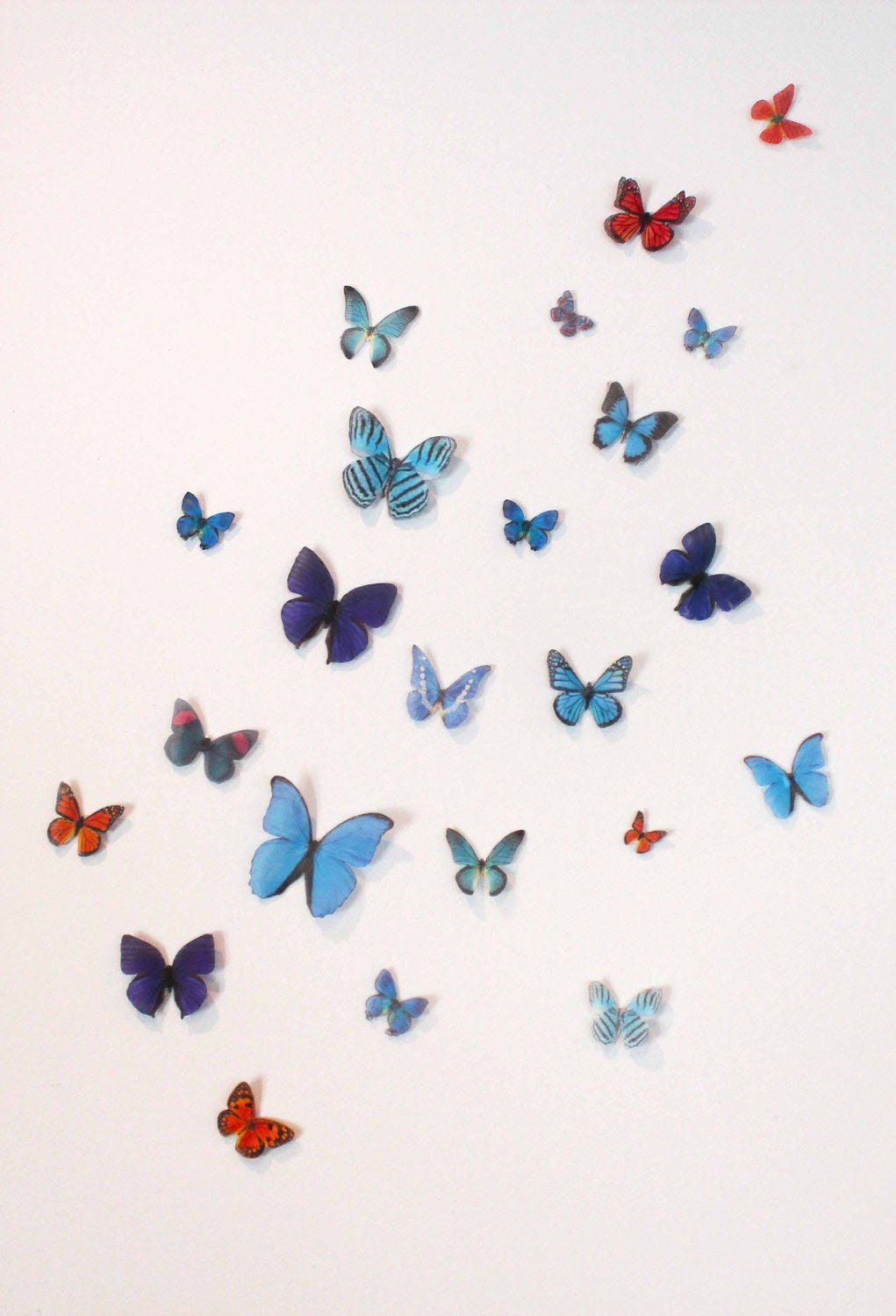 Organza Butterfly Wall Decoration 42 Wedding by ButterflyWonders