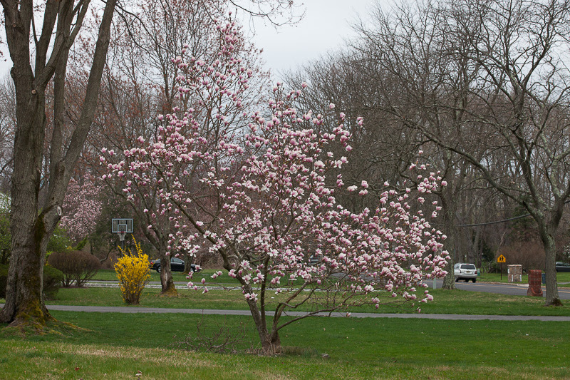 20130411-_MG_7417