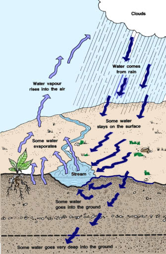 Shallow Water Body Meaning - Img-abigail