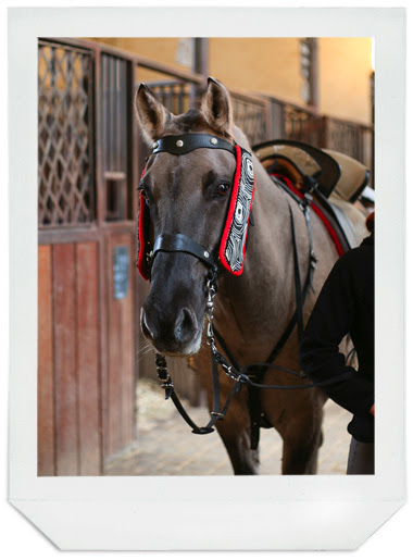 versailles_03