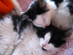 Juliette and Jackson
