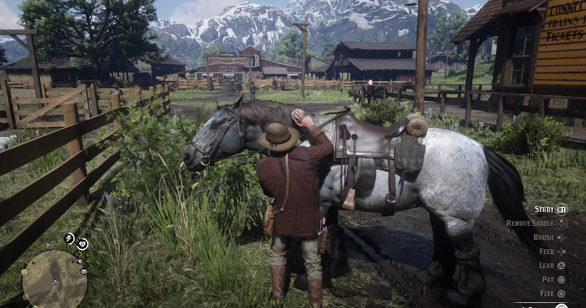 RDR2: How to brush your horse