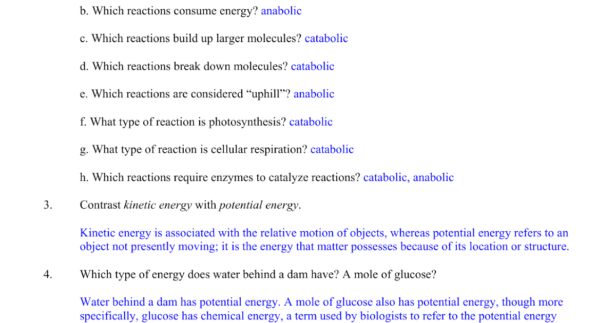 chapter-6-an-introduction-to-metabolism-study-guide-answers-study-poster