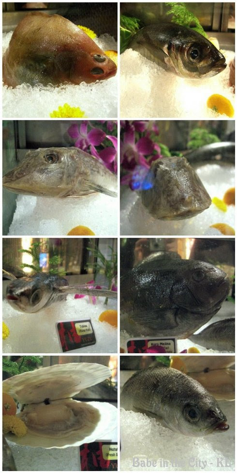 fresh fishes