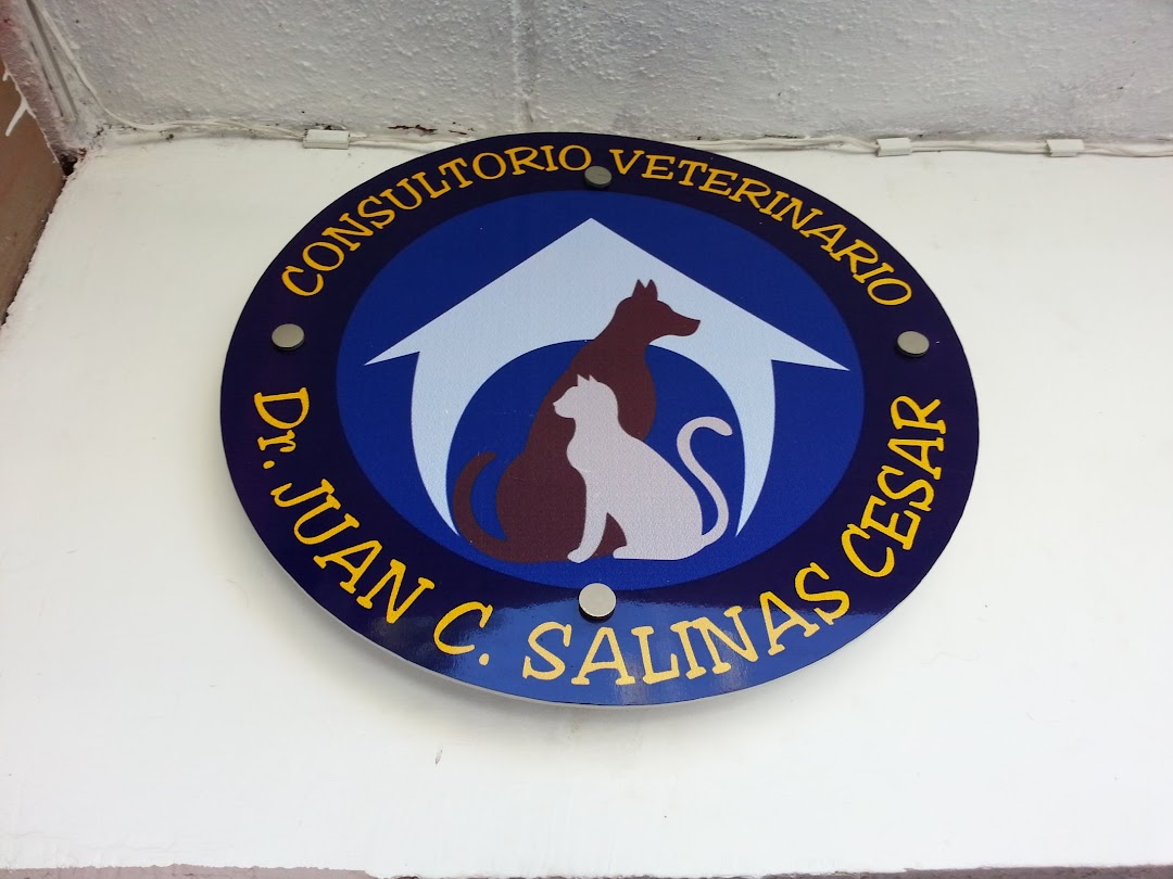 CONSULTORIO VETERINARIO