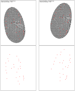 fingerprint identification ideal case