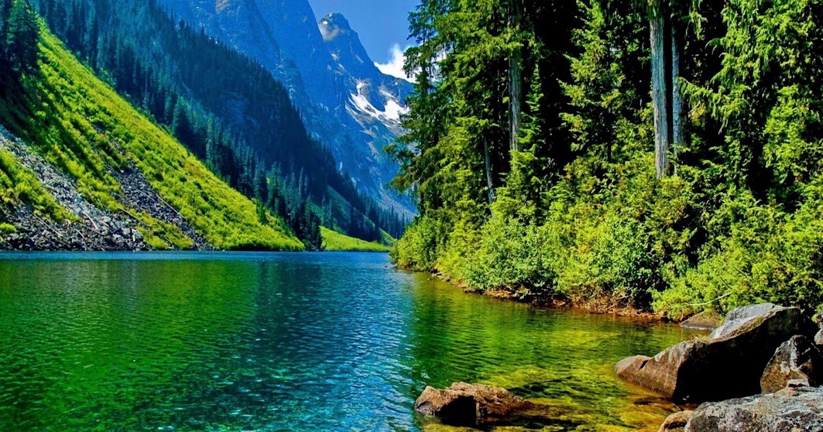 4K Nature Wallpaper Zip : We've gathered more than 5 million images