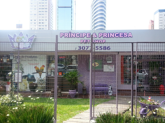 Avaliações sobre Principe & Princesa - Boutique & Spa Pet em Curitiba - Veterinário