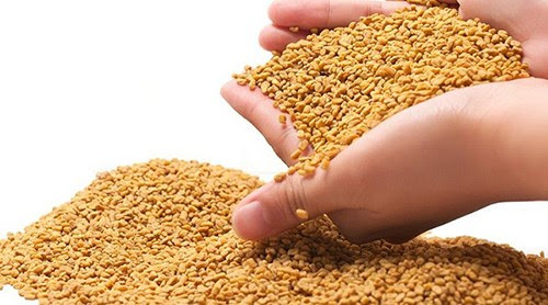9 cách hay ngăn ngừa tóc rụng sớm 25625f7e841bdc0e6776708b93b21c54 9 cách hay ngăn ngừa tóc rụng sớm