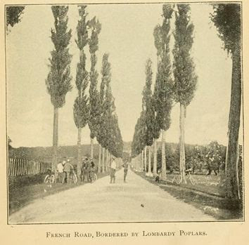 Photo, Cycling in Europe (book, 1899)