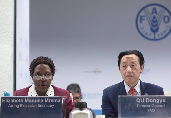 Photo: ©FAO/Alessandra Benedetti