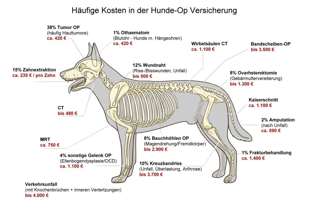 Perfect Dogs allianz_hunde_op_versicherung