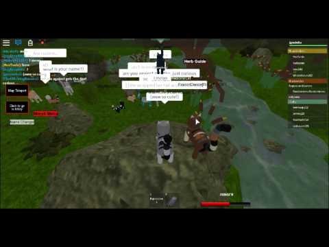Roblox Warrior Cat Designs