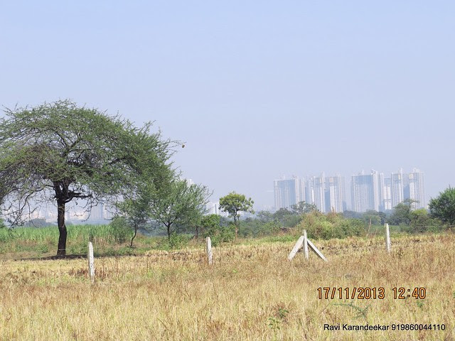 Close up of Blue Ridge Hinjewadi from the site of upcoming project on Nande Mhalunge Road - Visit Amit Rujuta Ventures' "Gloria" 1 BHK 1.5 BHK 2 BHK Flats at Nande near Hinjewadi on Pirangut Nande Road Taluka Mulshi District Pune 412115