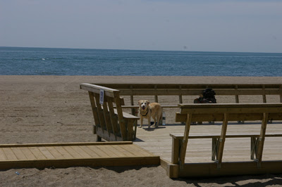Beach Viewing Platform