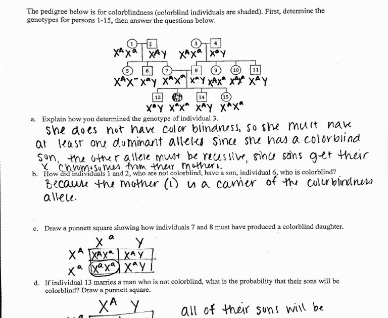 Pedigree Practice 2 Worksheet Answer Key : 17 Best Images of Genetics