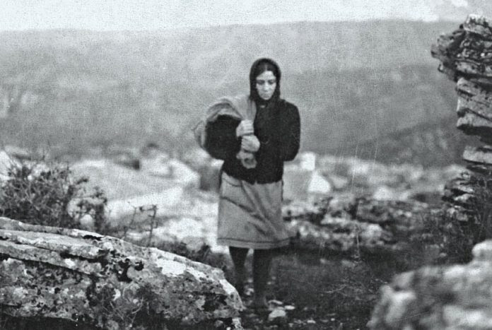drosopigi
