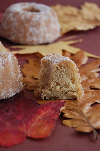 Cinnamon sugar-coated maple apple cakes / Bolinhos de maçã e xarope de bordo com cobertura de açúcar e canela
