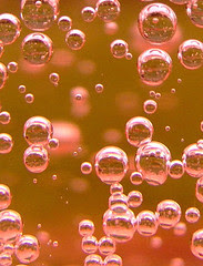 File:Rose Champagne Bubbles.jpg