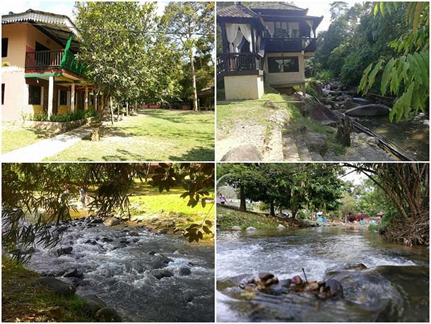 Janda Baik Resort Murah / Berkelah Di Tam Chalet Sungai Kampung Janda