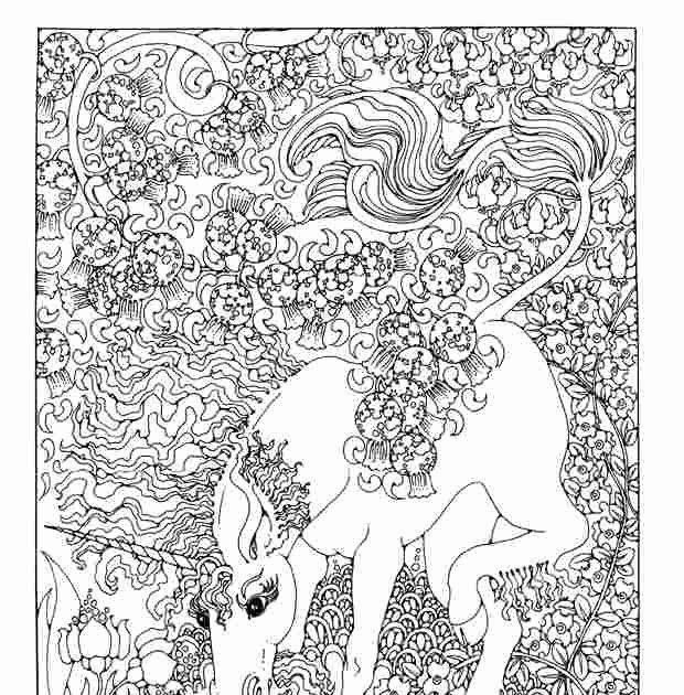 Fairies And Unicorns Coloring Pages - Kaitlynmasek