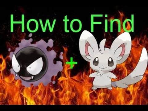 thinknoodles minccino dantdm pok invidious