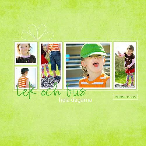 Lekochbus_maj2009