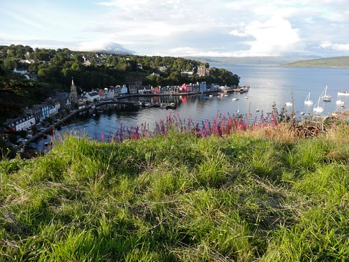 Tobermory from the hill above
