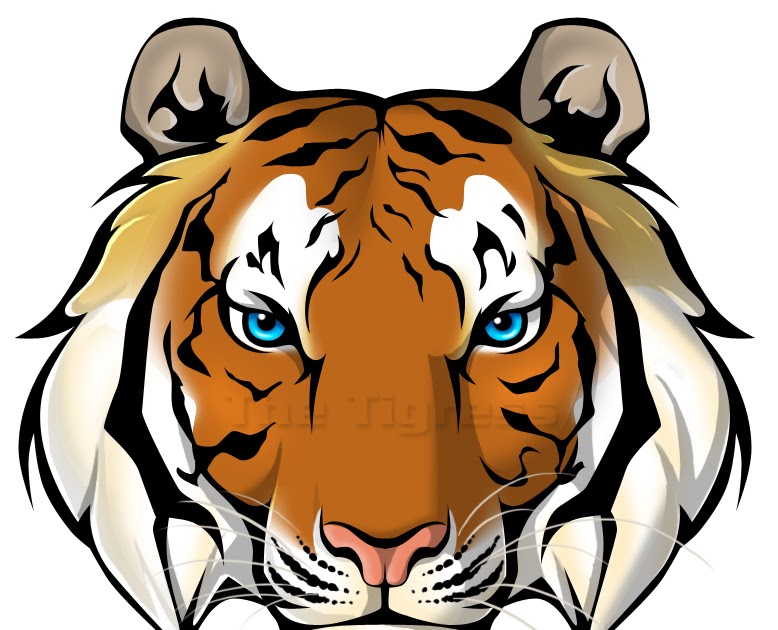 Transhu: Cartoon Tiger Face Png