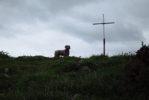 photo IMG_2313_1_zps4ca3df73.jpg