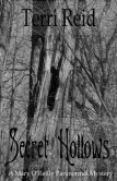 Secret Hollows: A Mary O'Reilly Paranormal Mystery - Book Seven