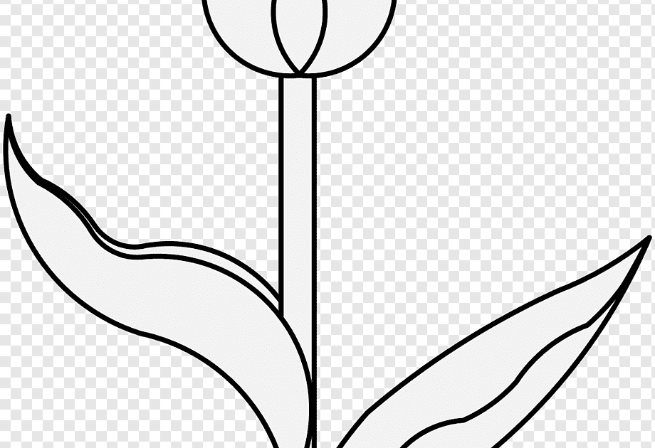 Gambar Bunga Tulip Hitam Putih Simple - malaymasb