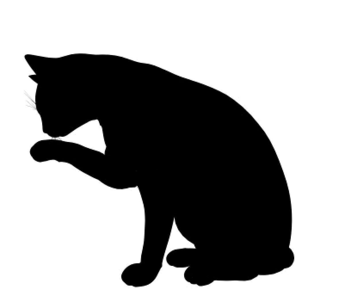 Download 5682512-black-cat-art-illustration-silhouette-on-a-white ...