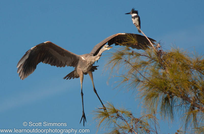 Photo & Video Sharing by SmugMug Photo & Video Sharing by SmugMug