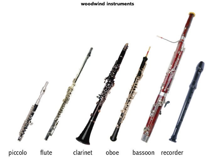 instruments-of-orchestra-the-woodwind-section