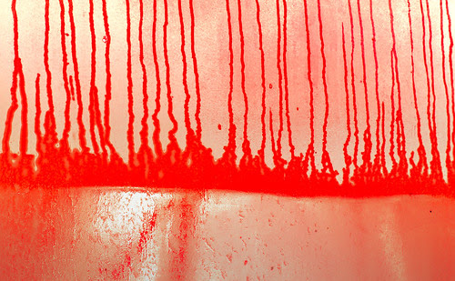 Red 27956_00