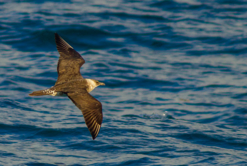 Photo & Video Sharing by SmugMug Photo & Video Sharing by SmugMug