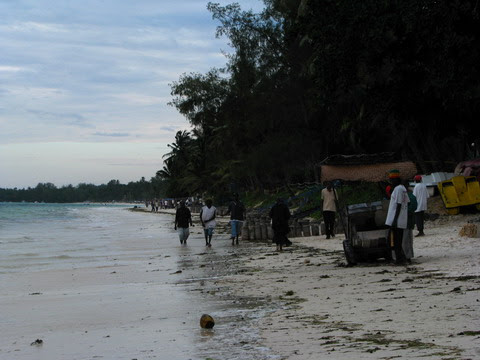 Pe malul Oceanului Indian