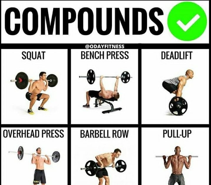 15 Minute Ectomorph Workout Plan No Equipment for Push Pull Legs