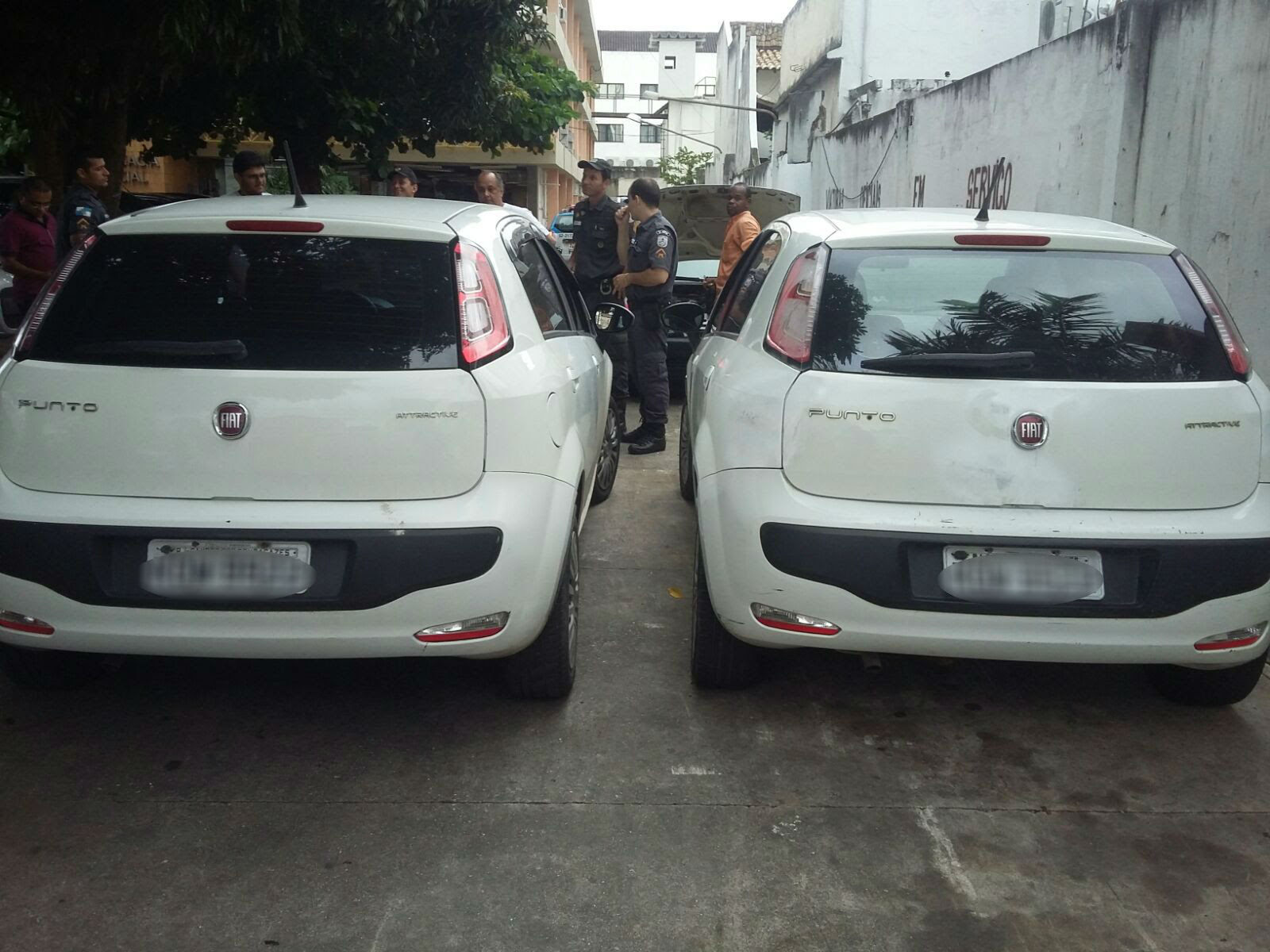 carro303