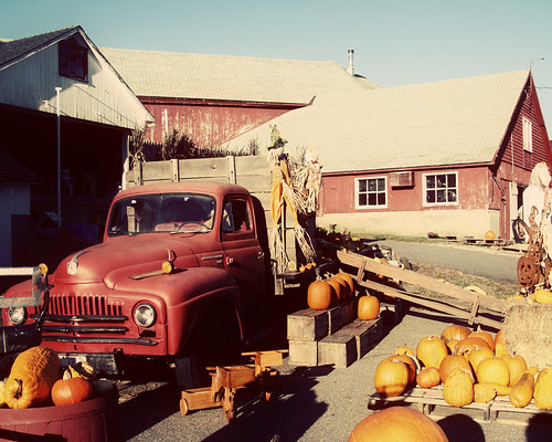 Farm Sale